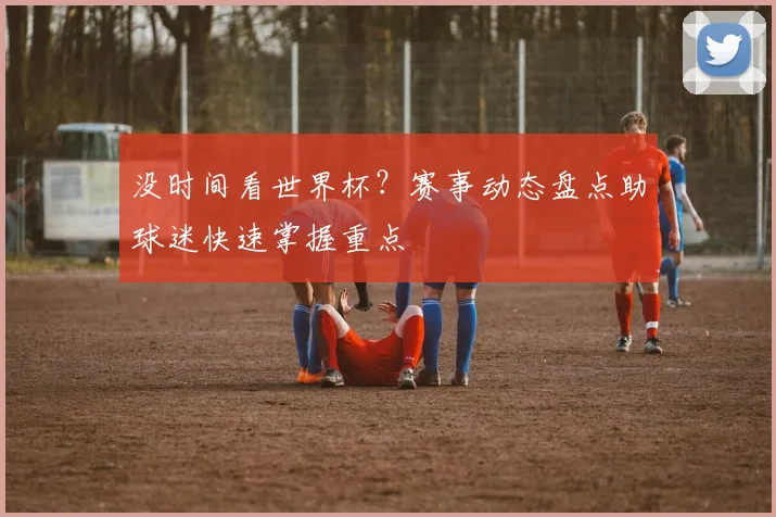 没时间看世界杯？赛事动态盘点助球迷快速掌握重点